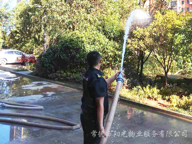 高温抗旱
