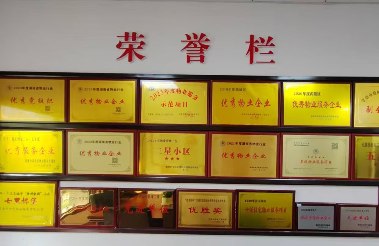 荣誉照片