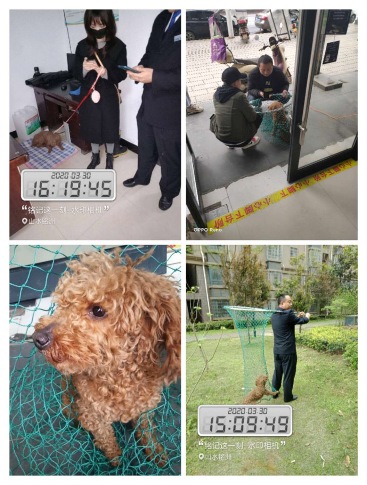 常德市阳光物业服务有限公司,常德物业管理,物业企业,阳光物业 常德市阳光物业服务有限公司,常德物业管理,物业企业,阳光物业